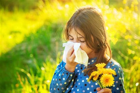 allergy prevention tips  allergy season