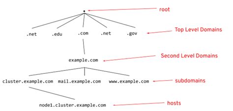 The Domain Name System Dns Architecture — Eitc