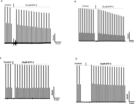 A Intact Edl Muscle Stimulated With Low And High Frequencies Every