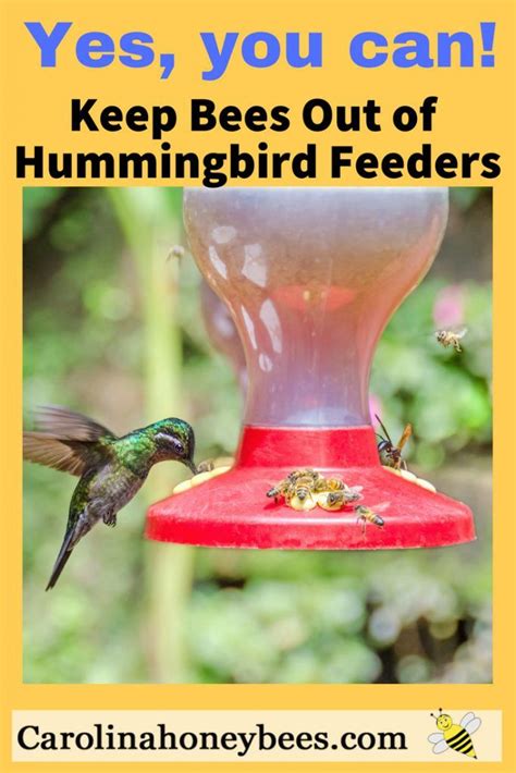 Homemade Hummingbird Nectar Powdered Apocove