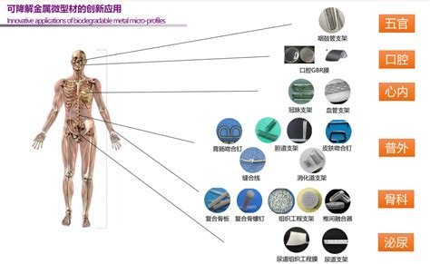 生物医用材料研发中心