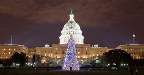 Capitol Christmas Tree Begins Journey Across America Teletrac Navman Us