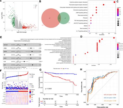 Frontiers Exploring Immune Related Prognostic Signatures In The Tumor