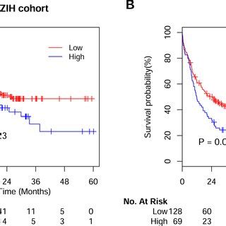 Kaplan Meier Survival Analysis Of Aml Patients Overall Survival Curves