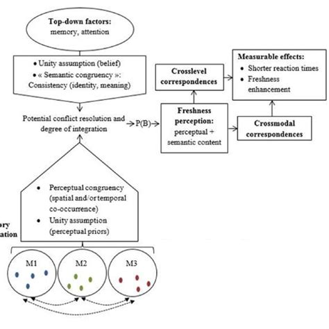 Schematic Sequences Of The Multisensory Integration Processes Leading