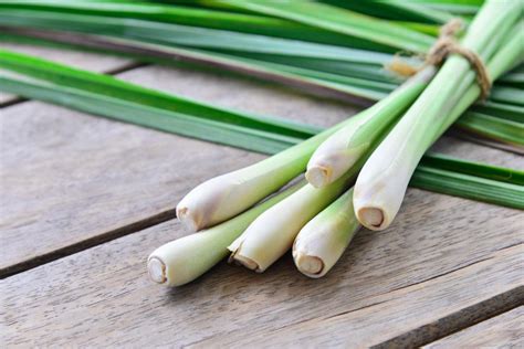 Lemongrass Tea Benefits Uses And Recipe