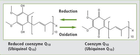 Coenzym Q10 Analysis Of A Sensitive Substance Secrets Of Science