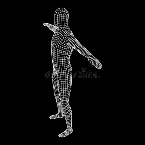 Male Or Man Anatomy Body Biology Medicine Education Concept Stock Vector Illustration Of Nude