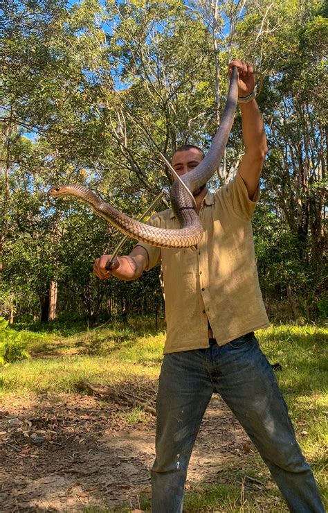 Snake Catcher Northern Rivers 24 7 707 Fernleigh Rd Brooklet NSW