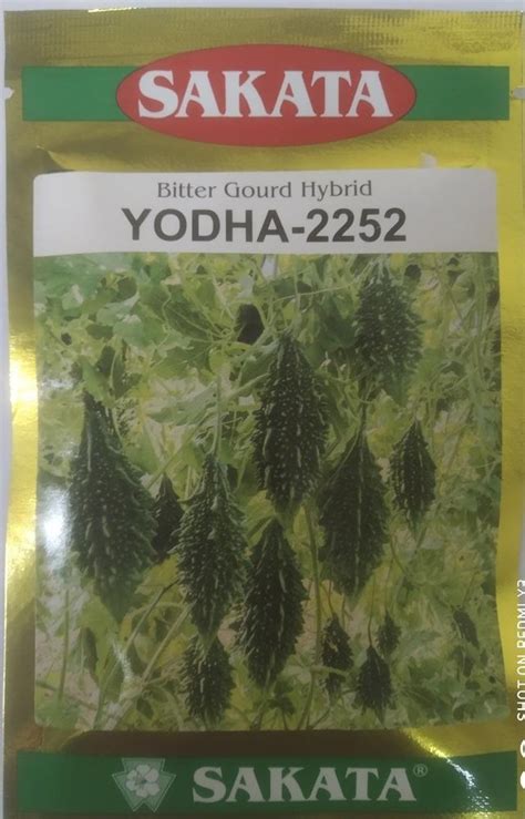 Hybrid Green Sakata Bittergourd Yodha 2252 Packaging Type Poly Pouch Packaging Size 10 Gm At