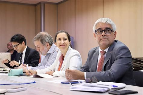 Presidenta De Colmed Santiago Dra Francisca Crispi Participa En Mesa