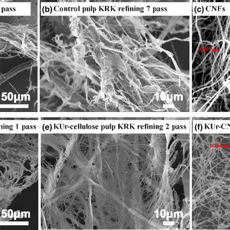 Characterization Of Cellulose Fibers With A Xrd And B Ftir The