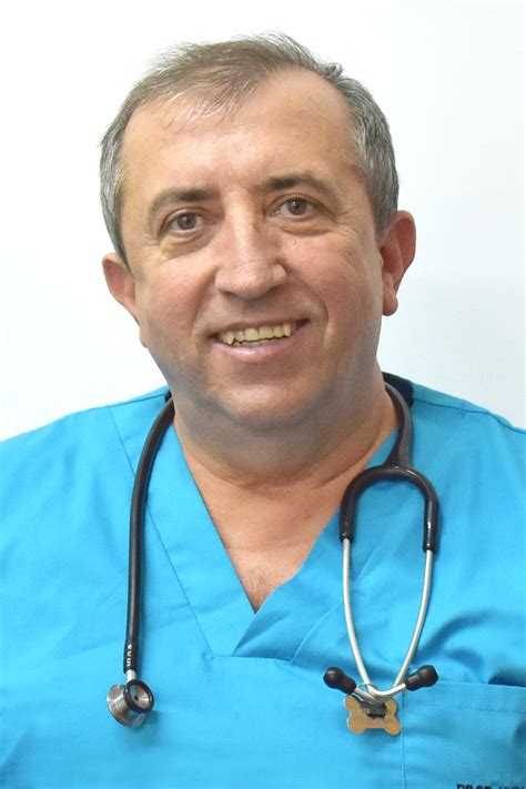 Dr Darius Mario Codreanu Spitalul Universitar Veterinar De Urgenta