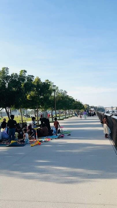 dolphin park abu dhabi youtube