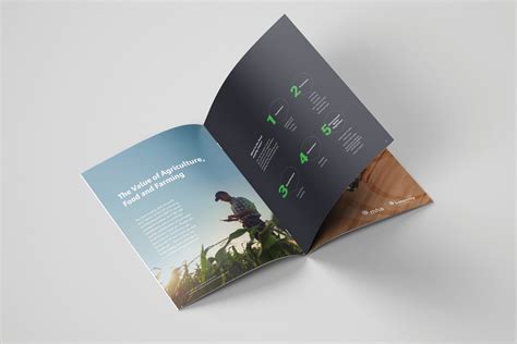 Evolution of Business Brochures 2024
