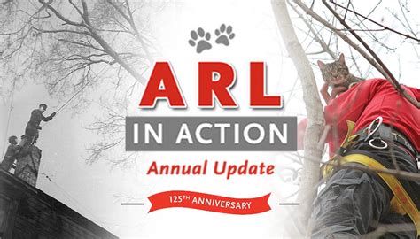 arl  action strategic plan animal rescue league  boston
