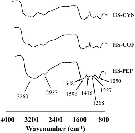 Diffuse Reflectance Infrared Fourier Transform Spectroscopy Drift Ir