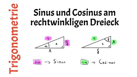 Sinus Und Cosinus Am Rechtwinkligen Dreieck Trigonometrie Youtube