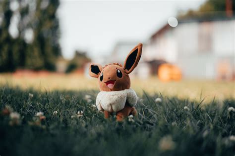 How To Evolve Eevee The Evolution Of Eevee In Pokemon Go Scroll