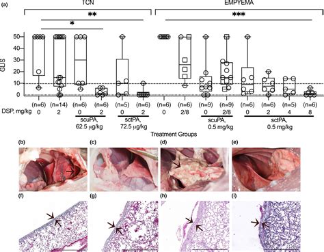 Precision Targeting Of The Plasminogen Activator Inhibitor1 Mechanism