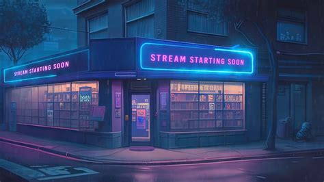 Animated Starting Soon Twitch Lofi Shop Overlays Aesthetic Etsy