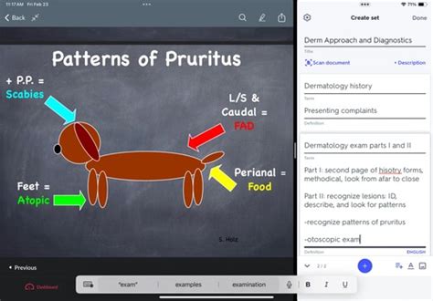 Derm Approach And Diagnostics Flashcards Quizlet