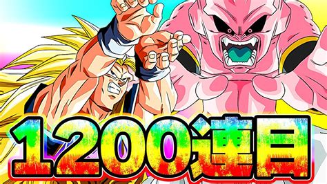 大晦日だよ1200連！悟空とブウの年末wドッカンフェス【ドッカンバトル】 │ ドラゴンボールz ドッカンバトル まとめ