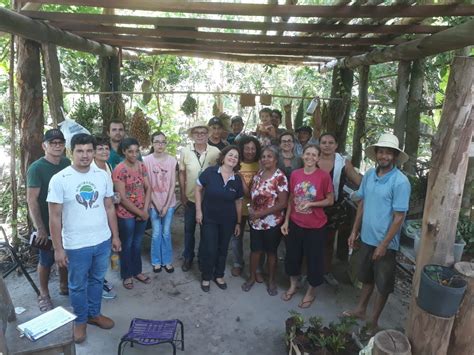 Agraer Realiza Curso De Produ O De Mudas De Guavira Para Comunidade