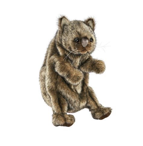 Puppet Wombat Maleny Additions