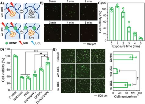 《afm》天津大学姚池仰大勇：超大分子dna上转换纳米粒组装成dna水凝胶腾讯新闻