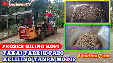 Proses Giling Kopi Pakai Selep Padi Keliling Kwintal Perjam Kopi