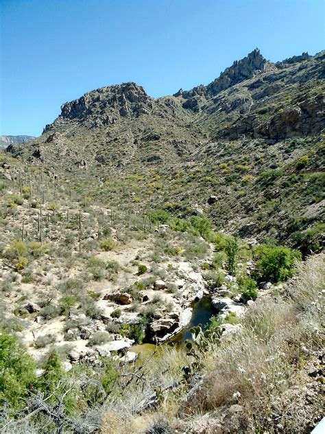 Sabino Canyon – My Favorite Westerns