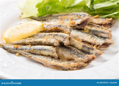 Fried anchovies with salad stock photo. Image of salad - 45818978