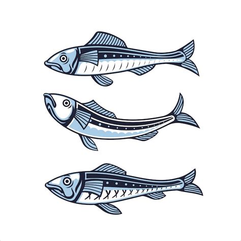 Premium Vector Set Of Sardine Fish Illustration