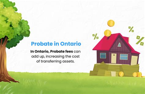 Estate Tax Canada Guide Everything You Need To Know About Estate Taxes