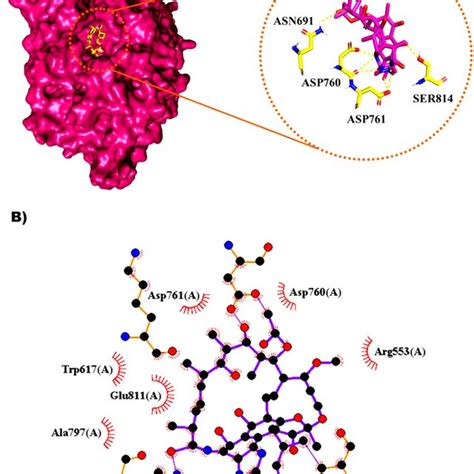 Representations Of Protein Ligand Complexes From Molecular Docking A