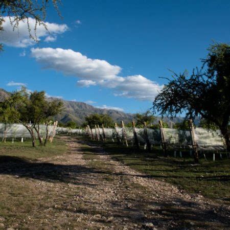 Bodega Piedra Mora San Javier Y Yacanto