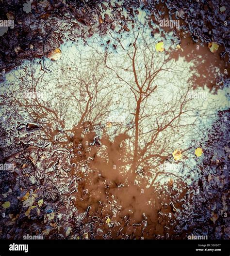 puddle art  res stock photography  images alamy