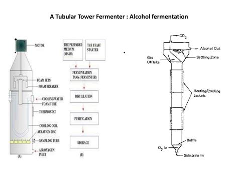 Ppt What Is A Fermenter Powerpoint Presentation Free Download Id