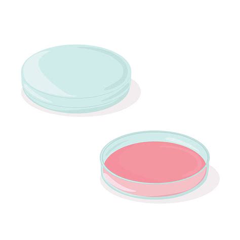 Royalty Free Petri Dish Clip Art Vector Images And Illustrations Istock