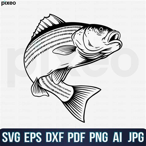 Striped Bass Fishing Svg Fishing Svg Striped Bass Fish Svg Etsy México