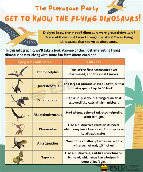 Flying Dinosaur Names Discover The Coolest Prehistoric Flyers Eslbuzz