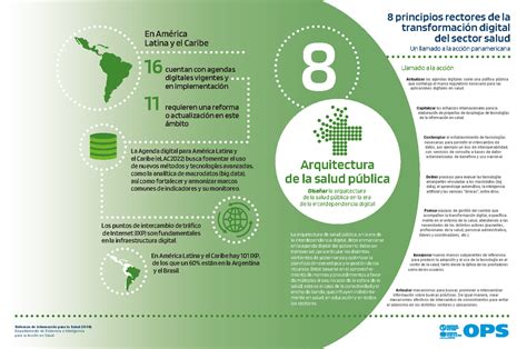 Principios infog P8 8 principios rectores de la transformación