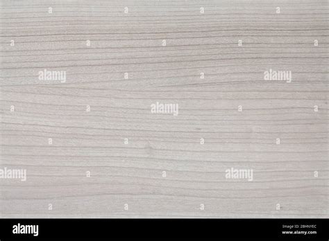 High Resolution Blonde Wood Texture Stock Photo Alamy