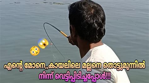 എന്റെ മോനെകായലിലെ മല്ലനെ തൊട്ടുമുന്നിൽ നിന്ന് വെട്ടിപ്പിടിച്ചപ്പോൾ😳😱