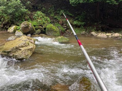 【体験レポート】初心者が渓流釣り（川釣り）に挑戦してみた！基本的なルールから注意点までわかりやすく解説 22 ハピキャン｜キャンプ