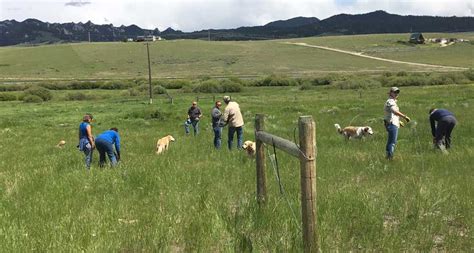 Montana Volunteers Return To Rmef Project Site Rocky Mountain Elk