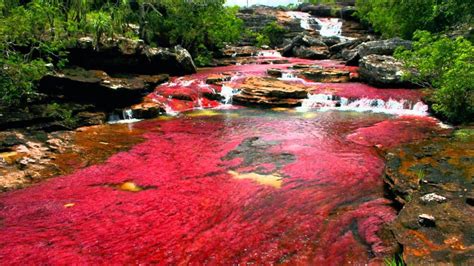 Liquid Rainbow River Of Columbia HD Wallpapers - Wallpaper Cave