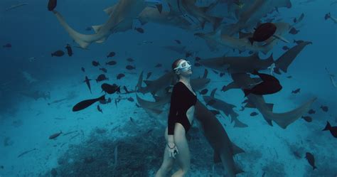 femme apnéiste dans une clair tropical l eau avec infirmière les