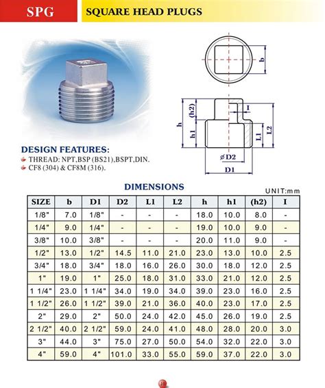 Stainless Steel Fittings Square Head Plugs